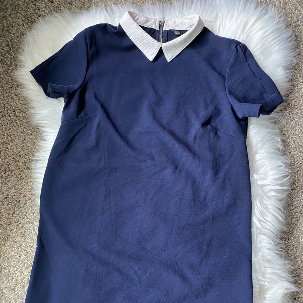 Zara navy collar dress